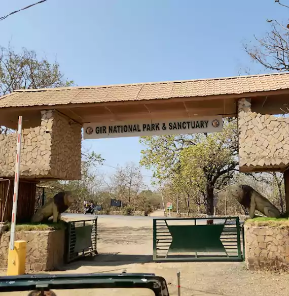 Gir National Park