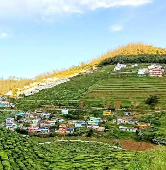 ooty