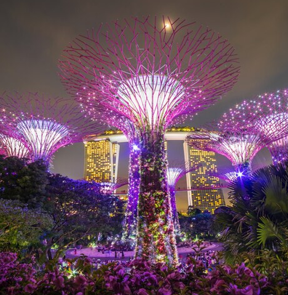 Bay Flower Dome Singapore